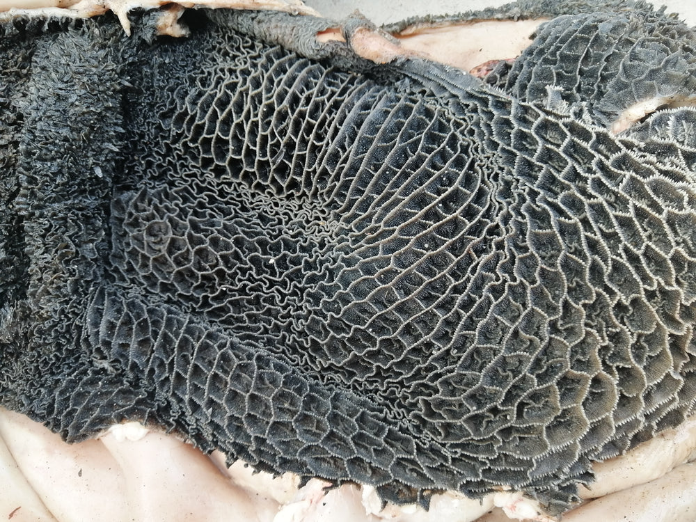 BEEF BLACK TRIPE (CLEANED)